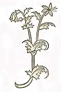 Hortus sanitatis 1491