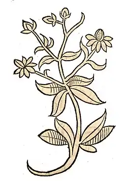 Hortus sanitatis 1491