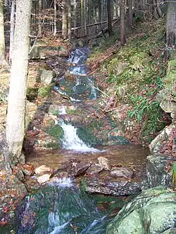 … der Hüttenbach in der Nähe