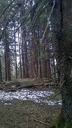 am höchsten Punkt des Huders