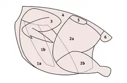 Deutscher Zuschnitt (Huhn)