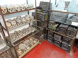 Schädel von Opfern des Völkermordes in Bangladesch