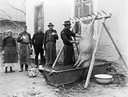 Ein Schwein an einem Holzgerüst über einer Metallwanne aufgehängt, links daneben stehen mehrere Personen um beim Ausnehmen zu helfen.