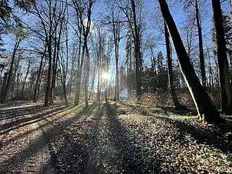 Hungerberg (Fränkische Alb)