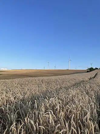 Felder auf der Nordseite des Hungerbergs