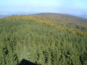 Blick vom Kellerwaldturm zum Hunsrück