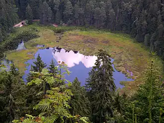 Der Huzenbacher See, einer von mehreren Karseen im Nationalpark