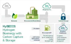 Man sieht ein Modell zu HyBECCS