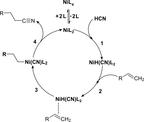 Allgemeiner Katalysecyclus der Hydrocyanierung