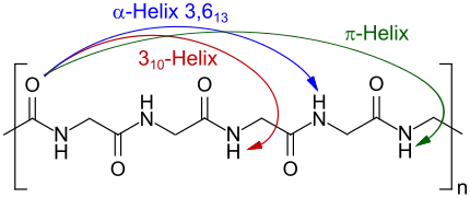 Wasserstoffbrückenbindungen in verschiedenen Helix-Strukturen