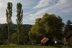 Ratscher Platane (Naturdenkmal)