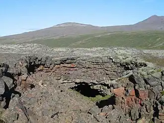 Strútur hinter der Höhle Viðgelmir