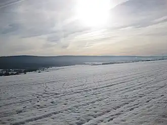 Usarkopf im Hauptkamm des Idarwalds