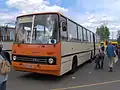 Ikarus-Gelenkbus Typ 280.03 der Berliner Verkehrsbetriebe