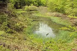 Ilgengrube im Frühjahr 2021