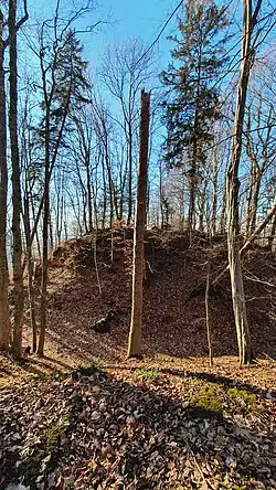 Blick auf Burghügel und Halsgraben