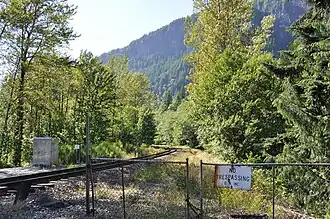 Wälder bei Index, Washington