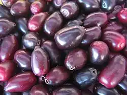 Rosenapfel (Syzygium cumini)