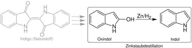 Indigo –––> –––> Oxindol –––> Indol
