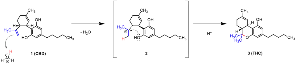 Intramolekulare cyklisierung von CBD zu Δ9-THC