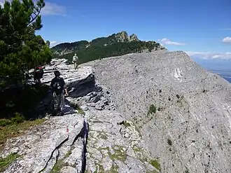 Blick zum Gipfel des Ipsarion