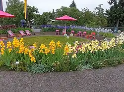 Iris-Farbkreis (Rosenobelgärten)