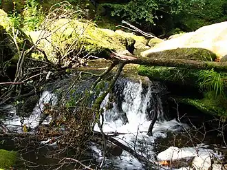 Die Irreler Wasserfälle bei Niedrigwasser (2011)