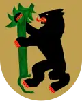 Wappen von Isokyrö