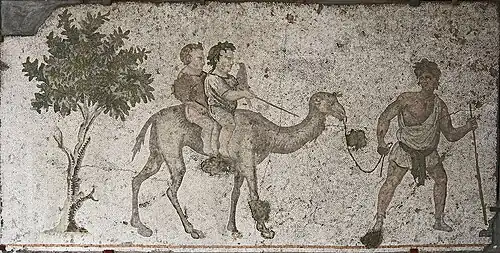 Ritt auf einem Dromedar