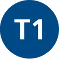 T1