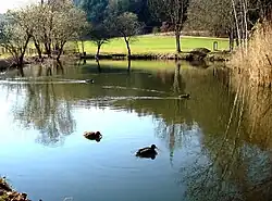 Der namengebende Weiher