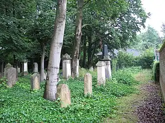 Es sind einige Grabsteine des Jüdischen Friedhofs in Oelde zu sehen.