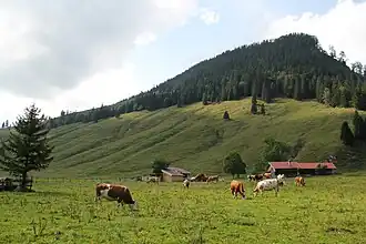 Südost-Seite des Jackelberg, Blick aus dem unteren Arzmoos