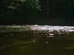 Jagstimpressionen zwischen Jagsthausen und Olnhausen