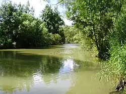 Szene zwischen Ruchsen und Möckmühl