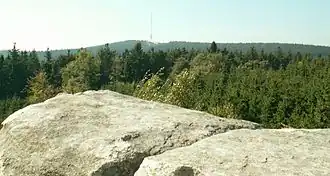 Gipfelregion des Jaborschützbergs