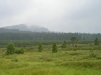 Blick über das Moor