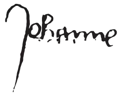 Vektorisierte, zweifarbige Variante, 10&nbsp;kB