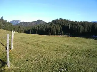 Mulde ostwärts der Jocheralm, die den Speichersee aufnehmen sollte