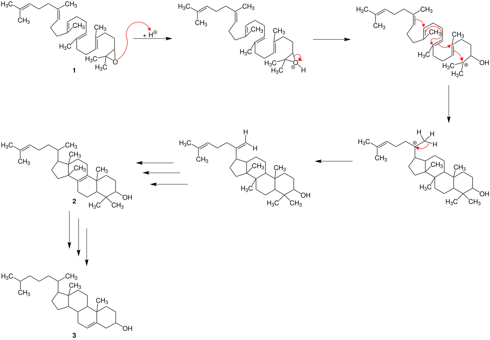 Darstellung von Cholesterin durch die Johnson-Polyen-Zyklisierung