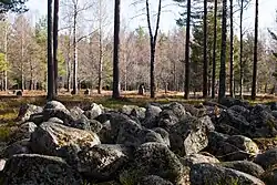 Gräberfeld von Jordbro