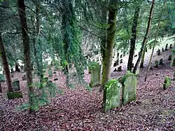 Jüdischer Friedhof Oberöwisheim