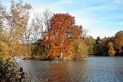 Teich: Binsenteich in Greiz