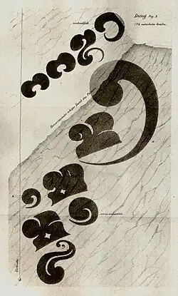 Von Junghuhn entdeckte Felsmalereien auf dem Dieng-Plateau (2. Band Seite 207)