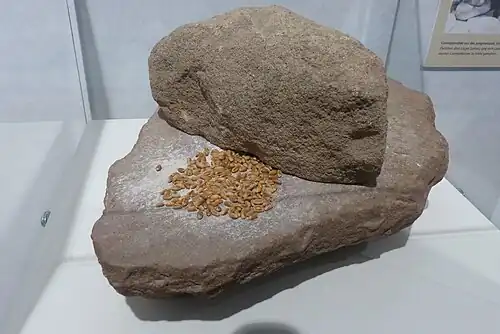 Jungsteinzeitliche Getreidemühle