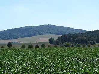 Blick von Norden (Standort nahe der Landesstraße&nbsp;1002; Hohengandern–Gerbershausen) zur Junkerkuppe