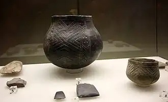 Funde im „Lindenthaler Dorf“ der Bandkeramischen Kultur