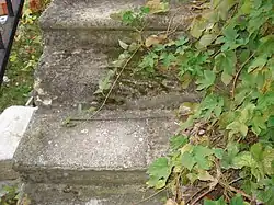 Stufen dieser Stiege