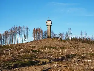 Der Köppel mit Aussichtsturm Köppel im März 2021 nach Borkenkäferkalamität