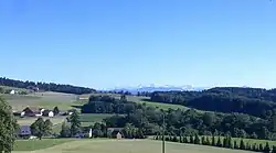 Blick von der Neuen Forch über den Küsnachterberg